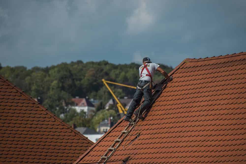 Roof Cleaning image