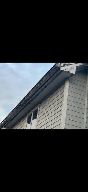 Lake Mary House Transformation with Expert Wash image