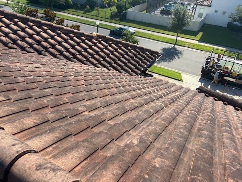 Project Revitalized Roof Gleams with Expert Cleaning image